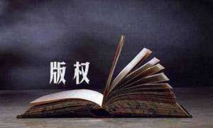 軟件著作權(quán)的價值演化趨勢及其成因分析